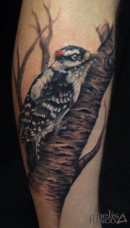 Melissa Fusco - woodpecker on birch
